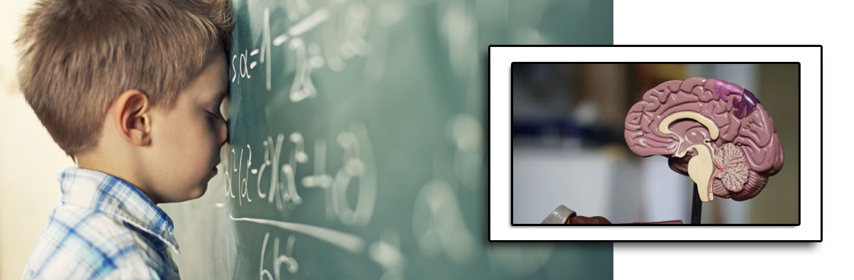 Cognitive Disease And Learing Difficulty